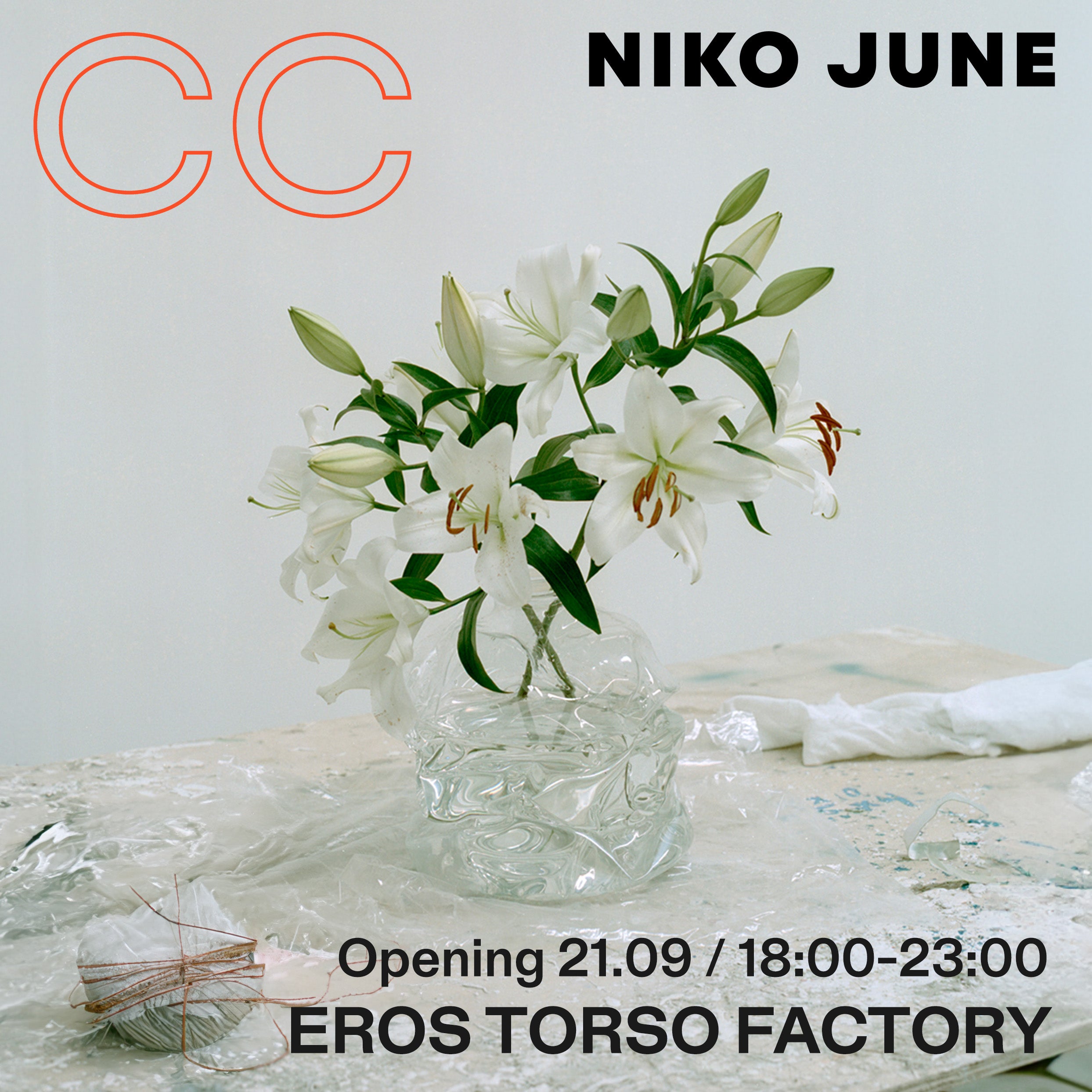 NIKO JUNE x COPENHAGEN CONTEMPORARY