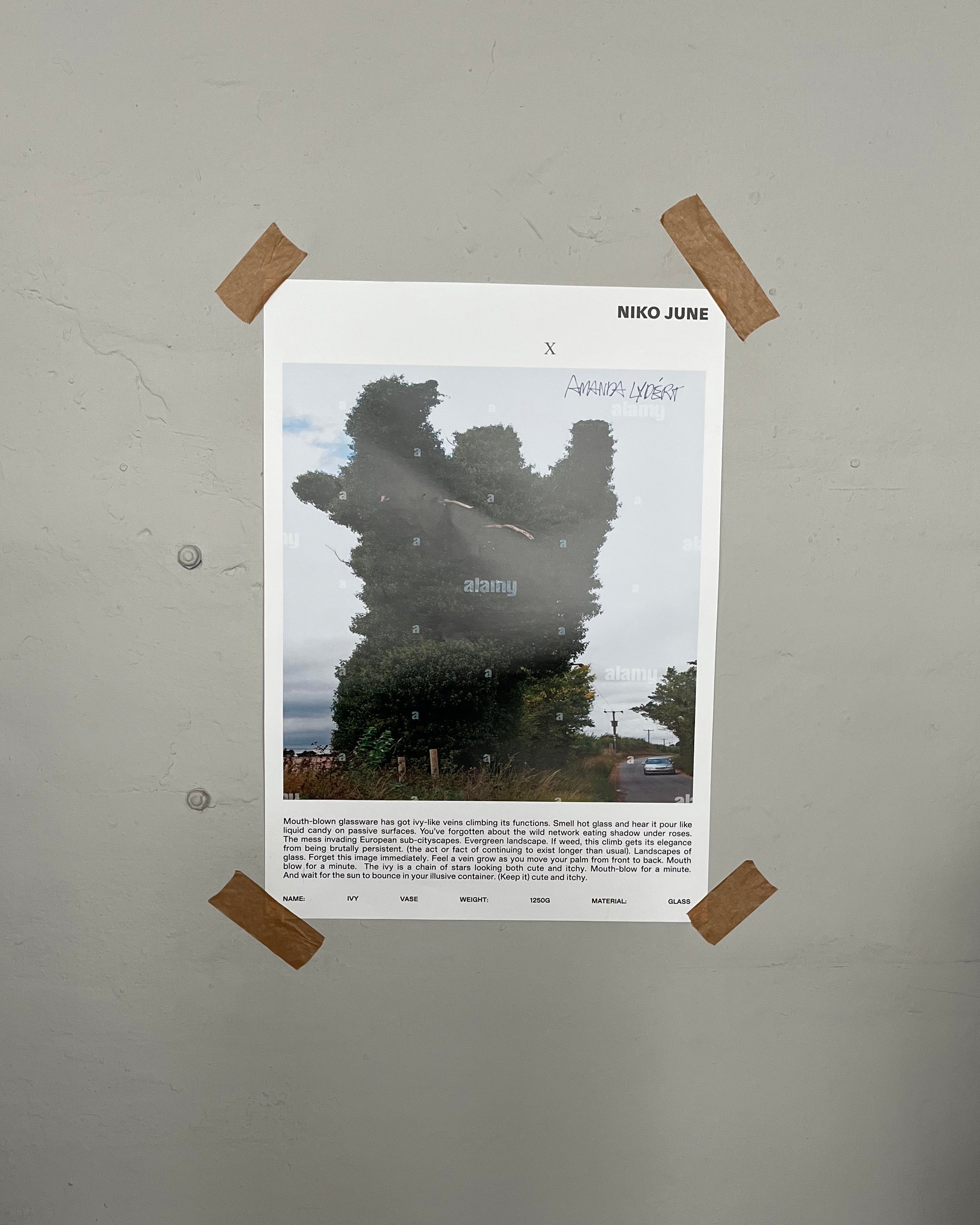 NIKO JUNE POSTER 50 x 70 CM