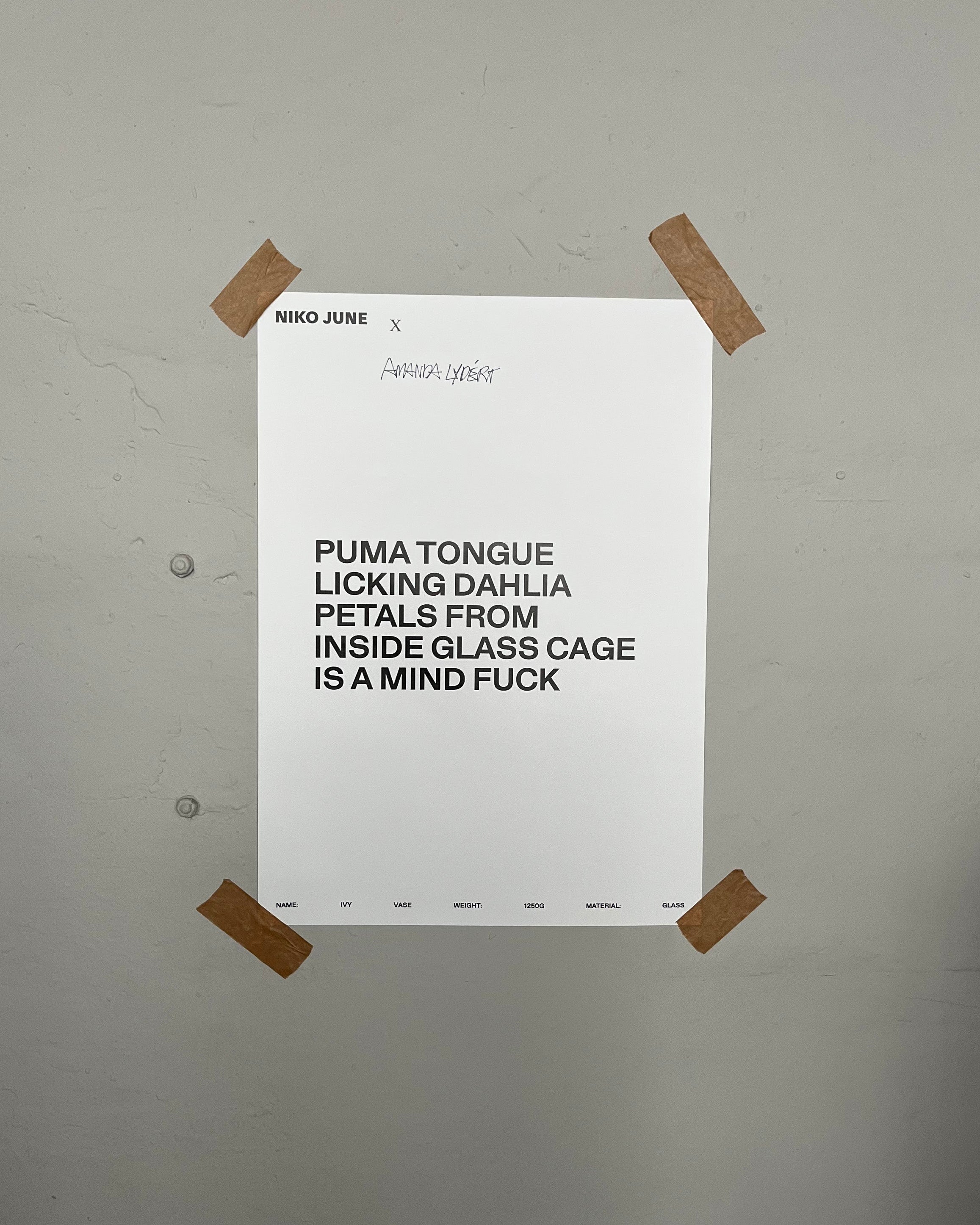 NIKO JUNE POSTER 50 x 70 CM